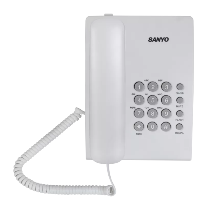 Sanyo RA-S204 (1)